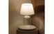 Лампа настольная BAZO прозрачный 74355-PRZ-LAMPA фото 3